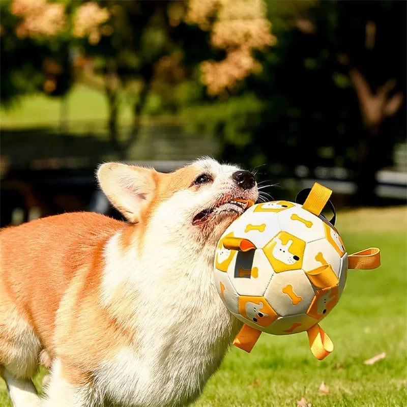 Interactive Dog Soccer Ball - Durable Chew Toy for Outdoor Training & Play
