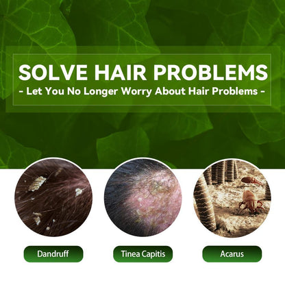 EELHOE Anti-Dandruff Shampoo - Itch Relief & Hair Loss Prevention | Oil Control Formula